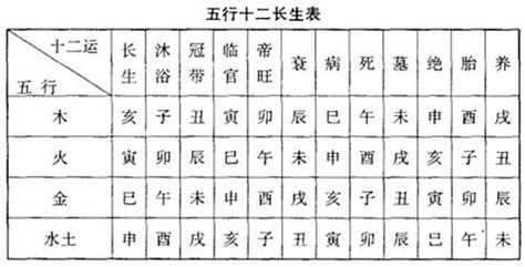 12長生|從零開始學易經：天干十二長生狀態